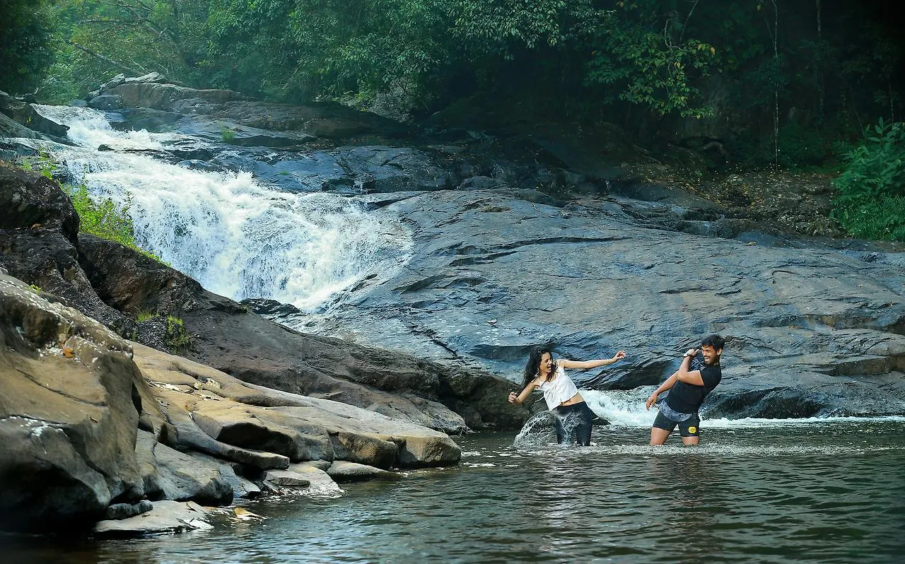 Peter'S Coffee Creek Nature Resort Meppādi