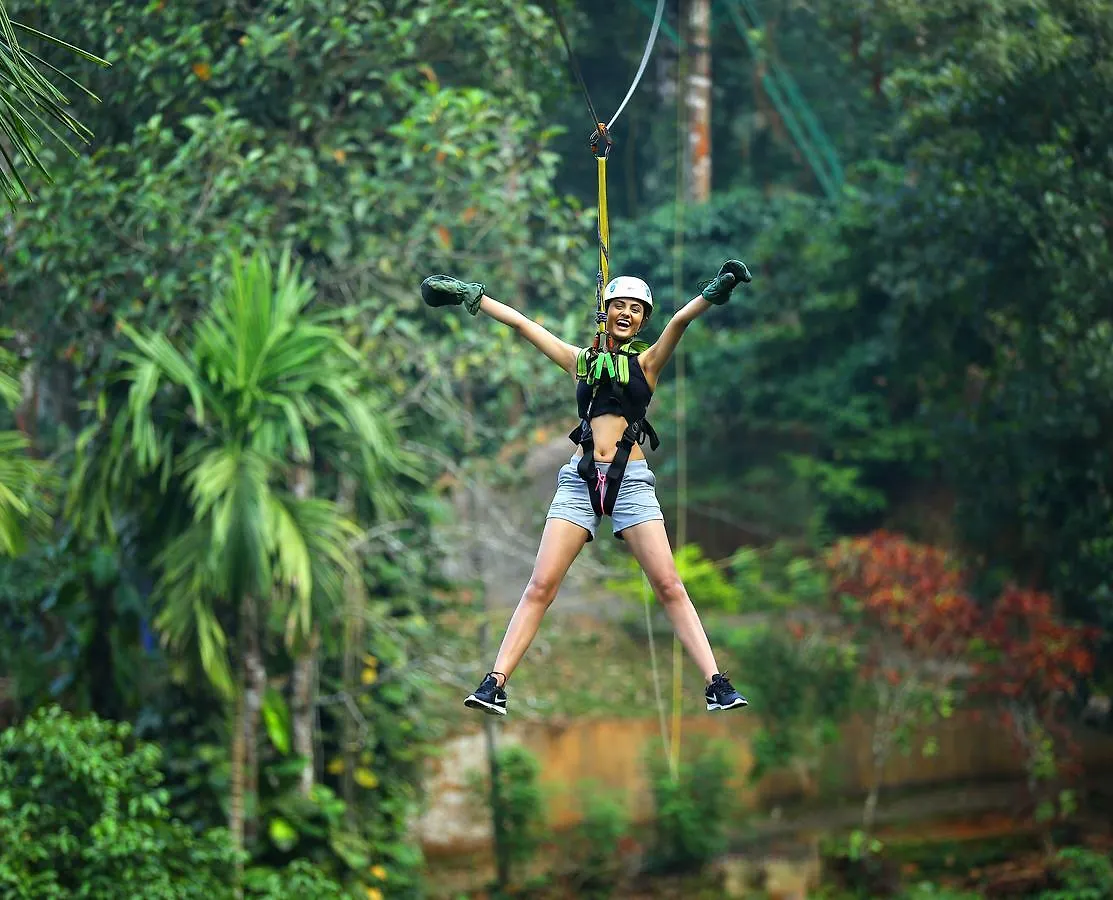 Peter'S Coffee Creek Nature Resort Meppādi